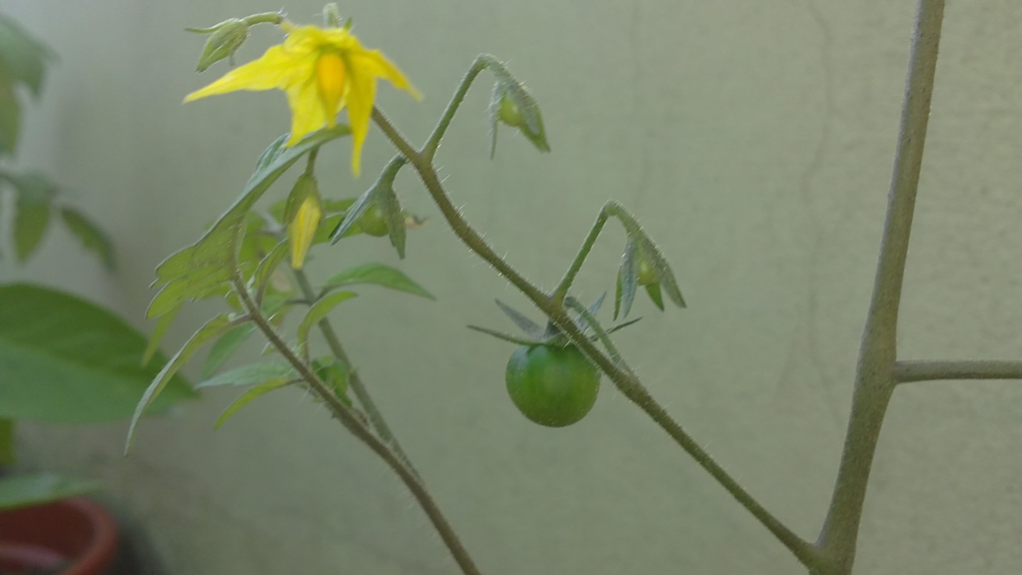 07052011136.jpg