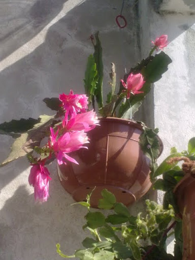 070520112920.jpg