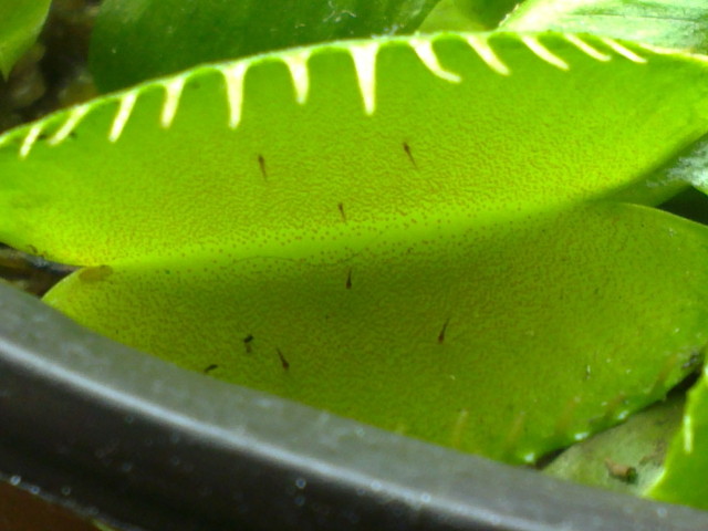 07052012007.jpg