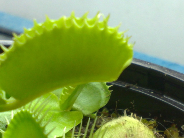 07052012020.jpg