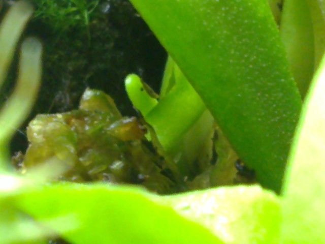 07052012021.jpg