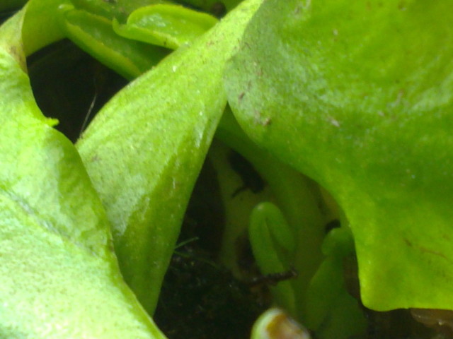 07052012022.jpg
