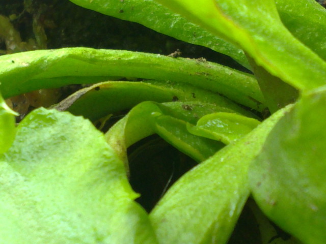 07052012023.jpg