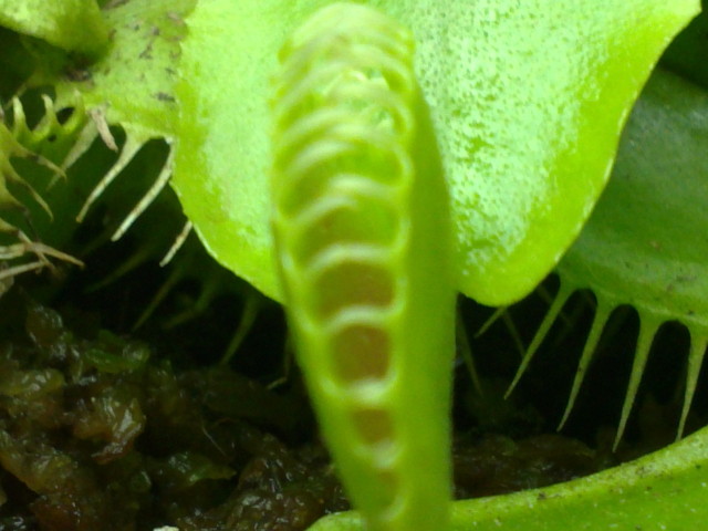 07052012025.jpg
