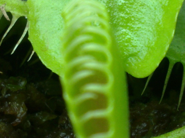 07052012026.jpg