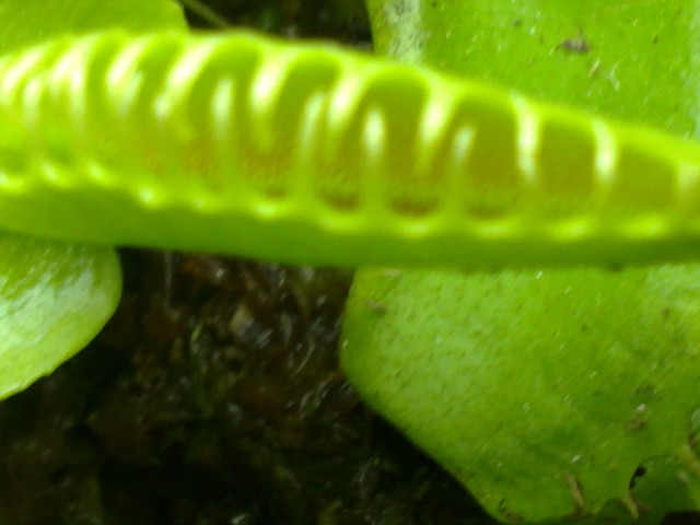 07052012027.jpg