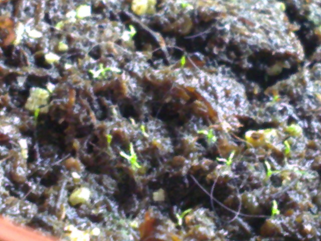07052012031.jpg