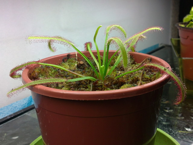07052012035.jpg