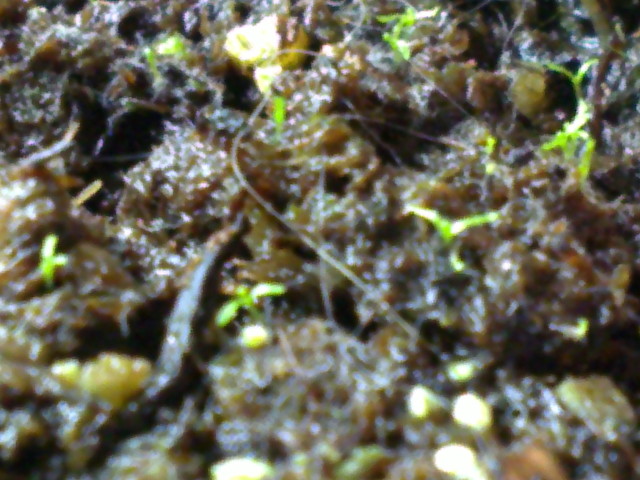 07052012038.jpg