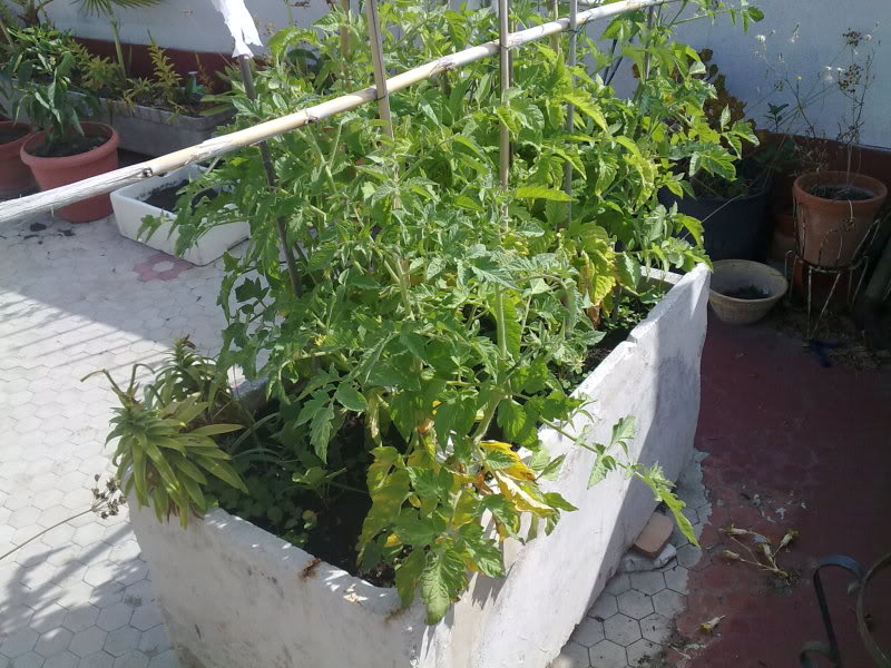 07062010168.jpg