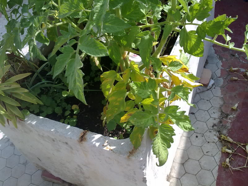 07062010169.jpg