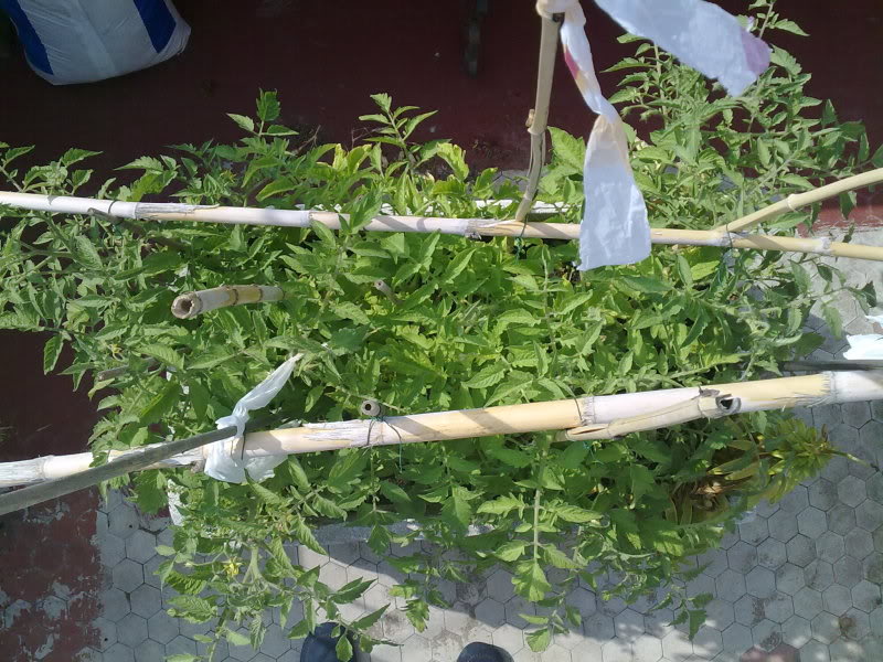 07062010173.jpg