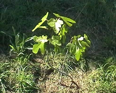 070704_001.jpg