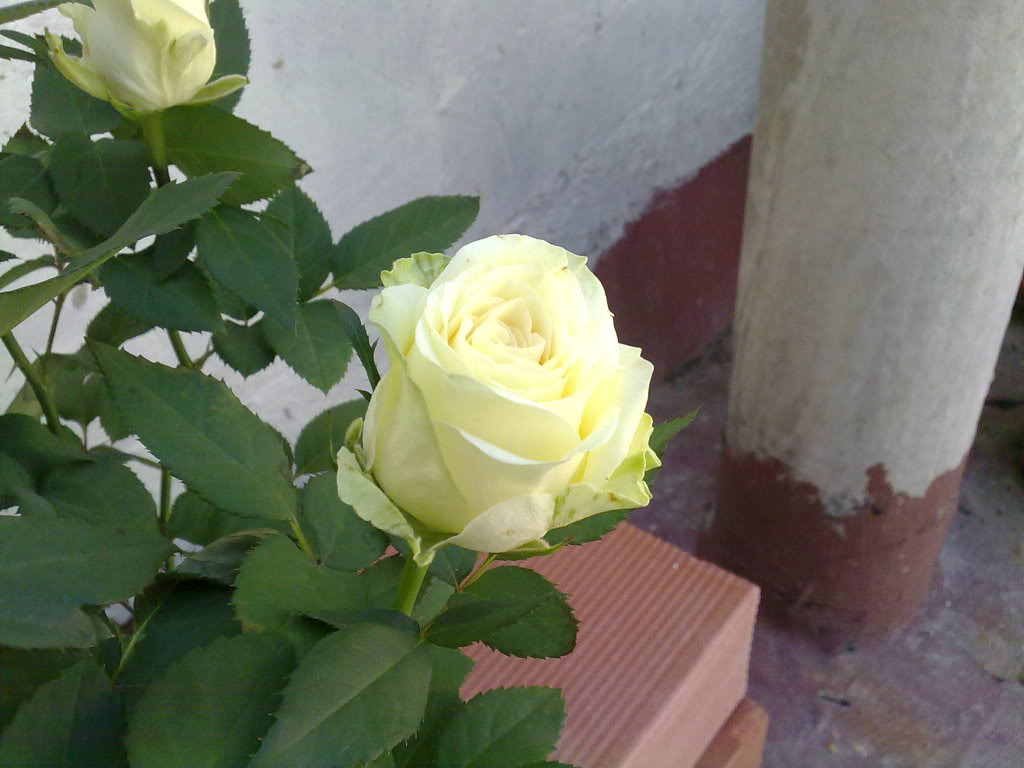 07072010579.jpg