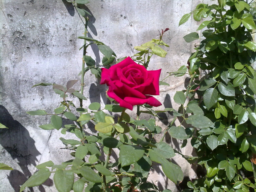 07072010584.jpg