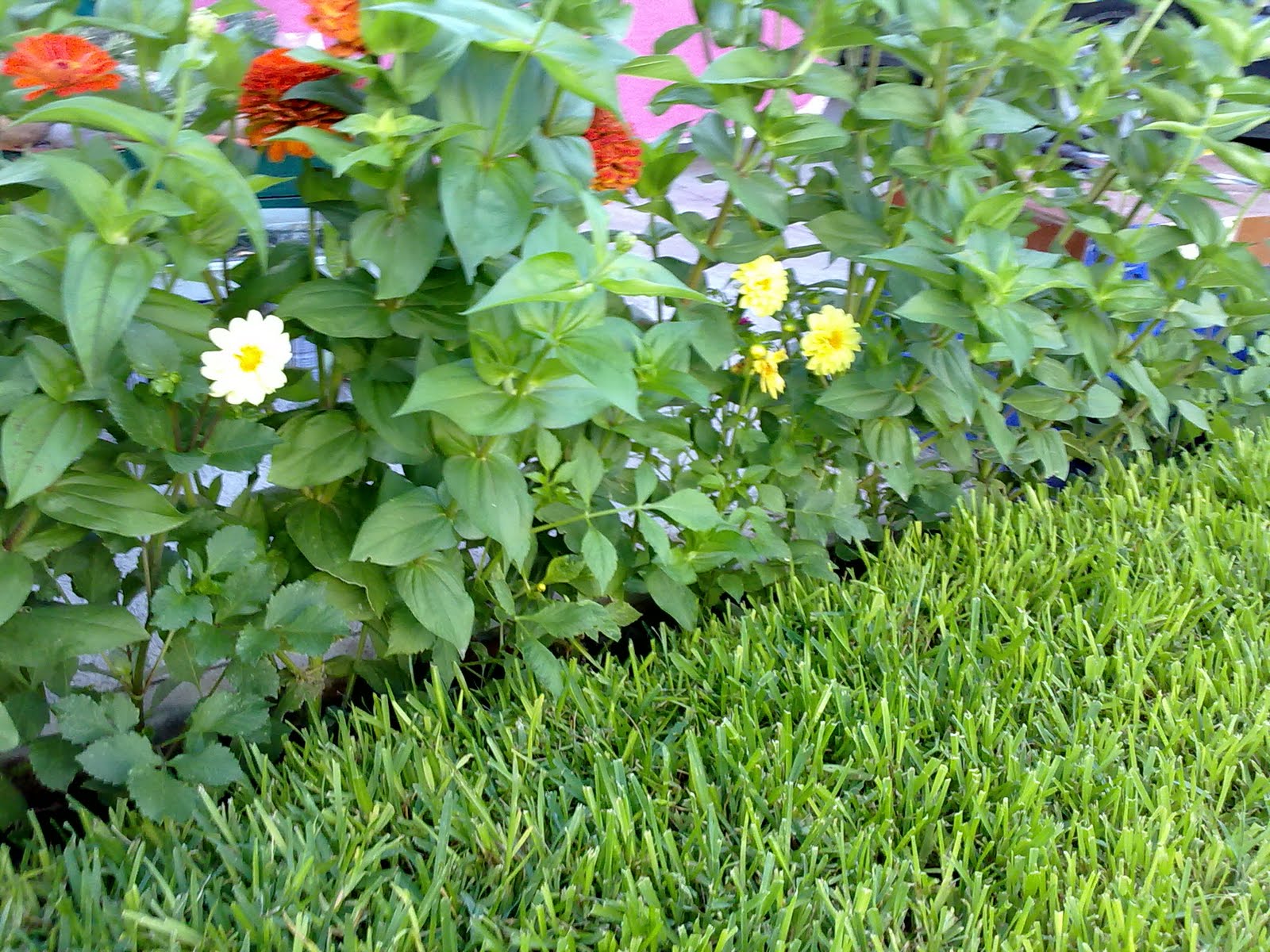 070820102463.jpg