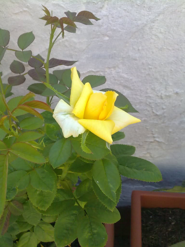 07082010755.jpg