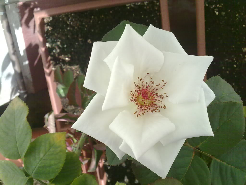 07082010760.jpg