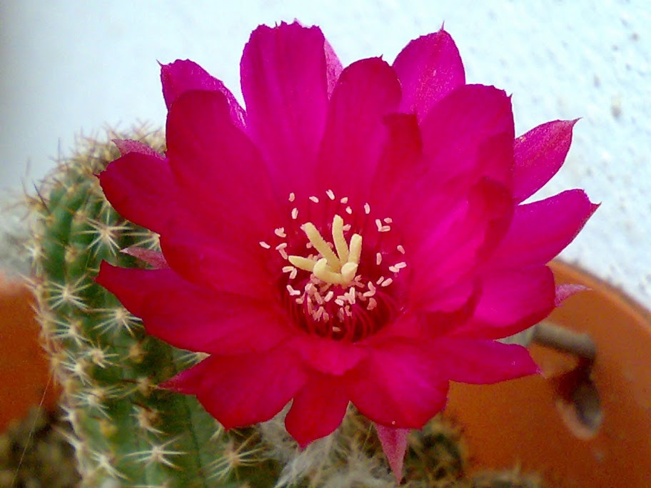 070820117459.jpg
