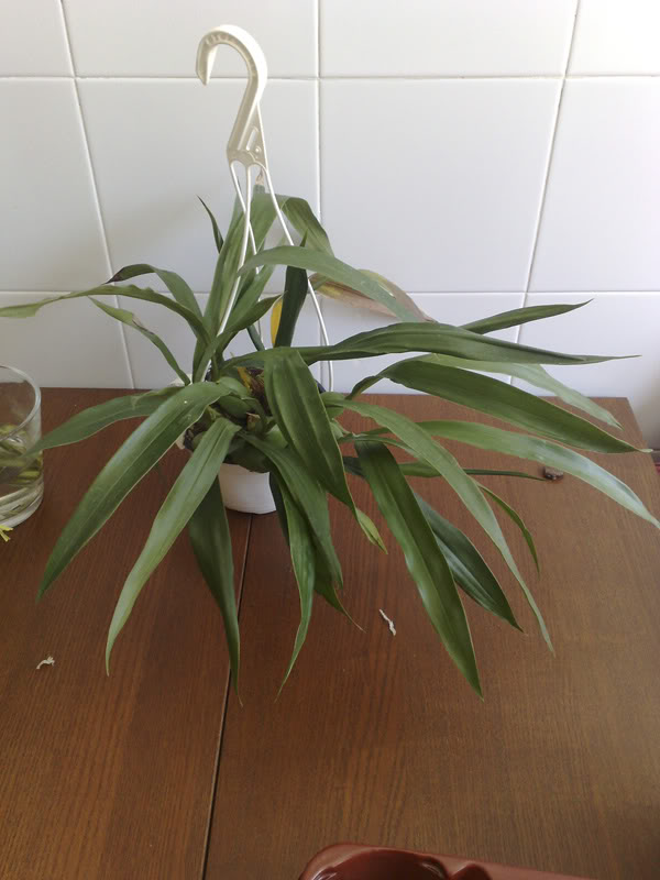 07102010264.jpg