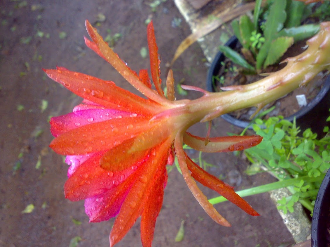 0711201214794.jpg