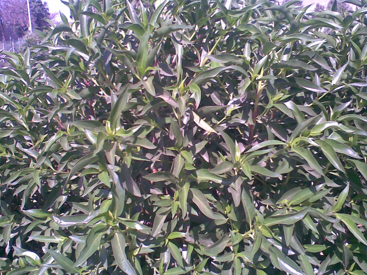 07f03bc6345bf999e99c08ab53ce7a92.jpg