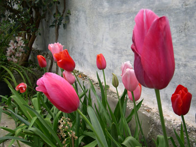 08-04-05-102.jpg