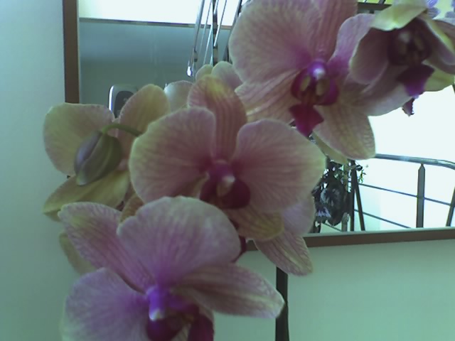 08-05-06_1931.jpg