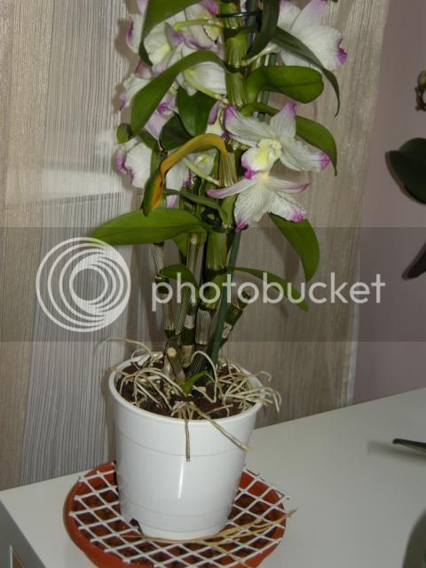 08-07-2014057_zps525694e3.jpg