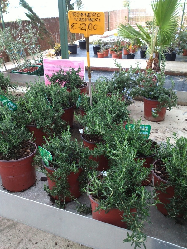 08-IMG350_zps69fe7020.jpg