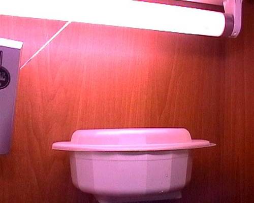 0800519_citricos_en_luz.jpg