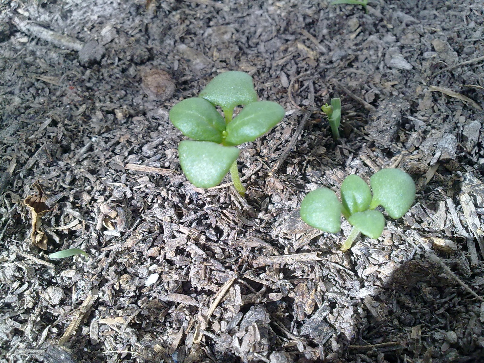 080120115742.jpg