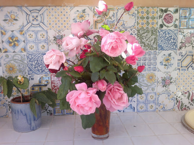 080120122606.jpg