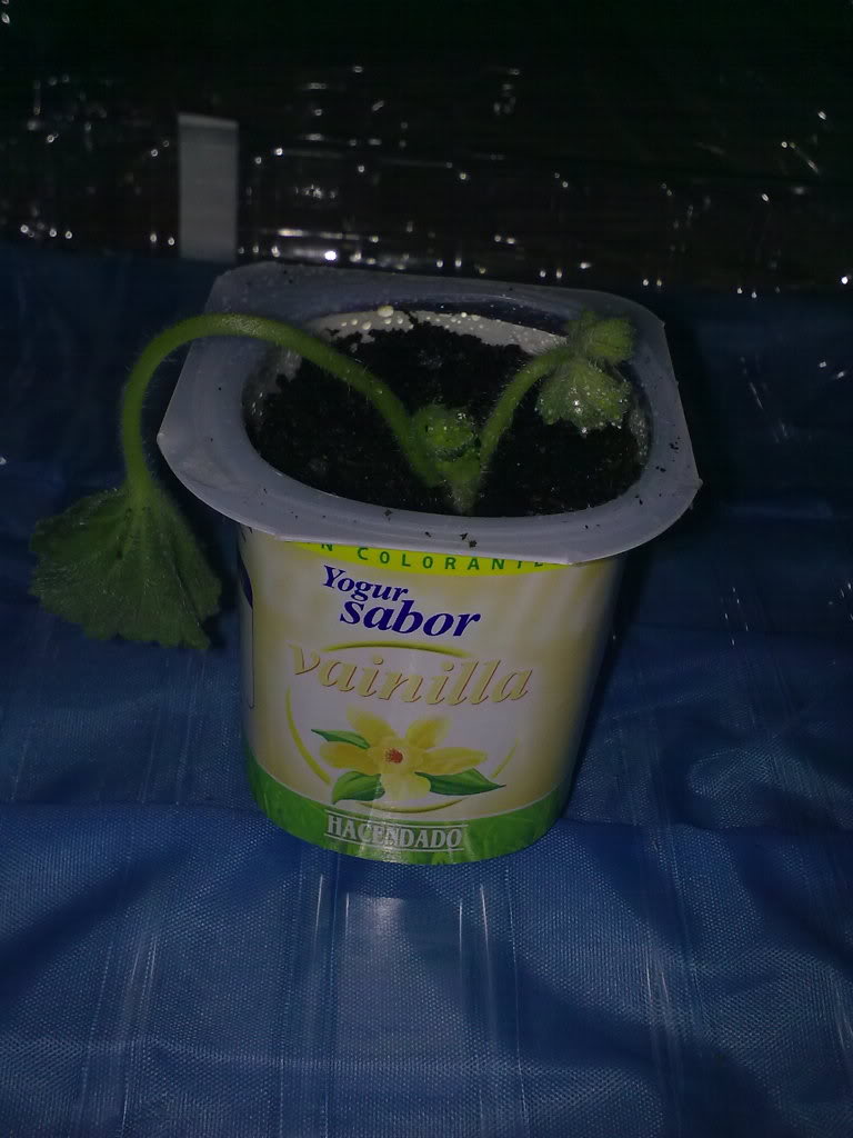08022012559.jpg
