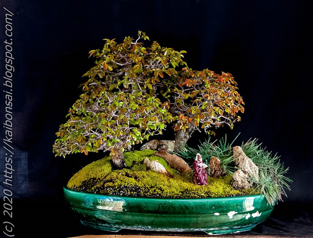 08022020-ALMENDRO%2B015B.jpg