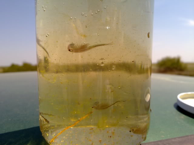 08042010089.jpg