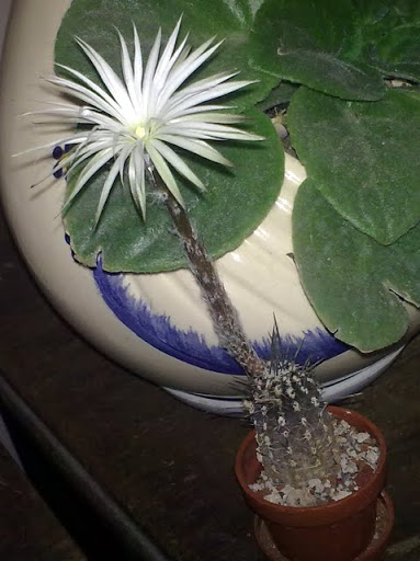 080620113202.jpg
