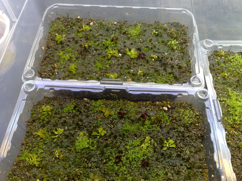 080620123152.jpg