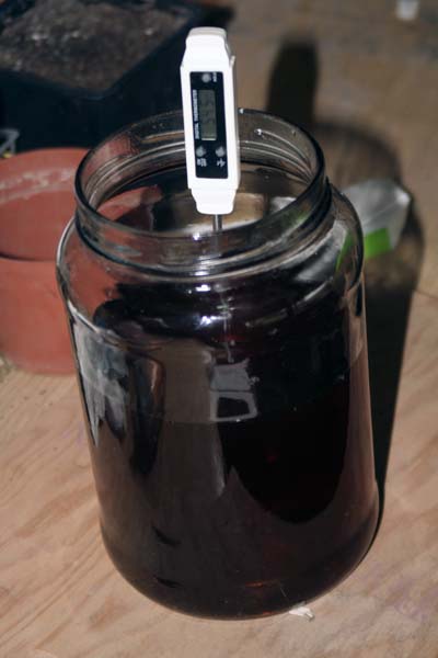 080626_biodiesel_aceite.jpg