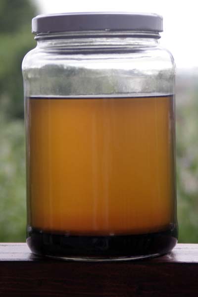 080626_biodiesel_decantado.jpg