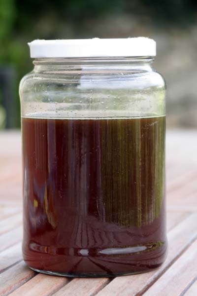 080626_biodiesel_mezclado.jpg