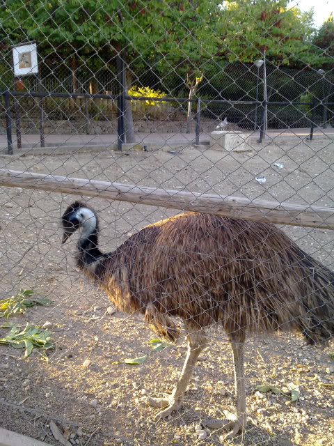 08092010601.jpg