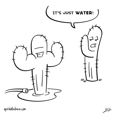 081-cacti.jpg