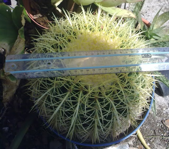 081020114393.jpg