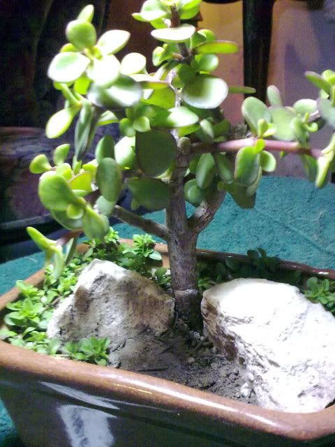 08112009125.jpg