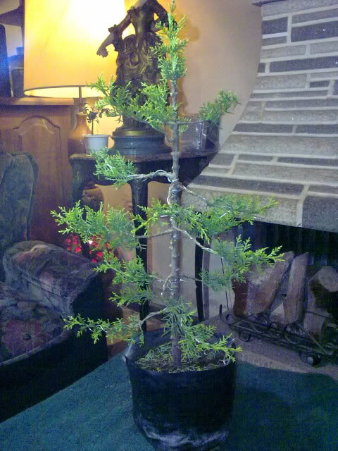 08112009129.jpg