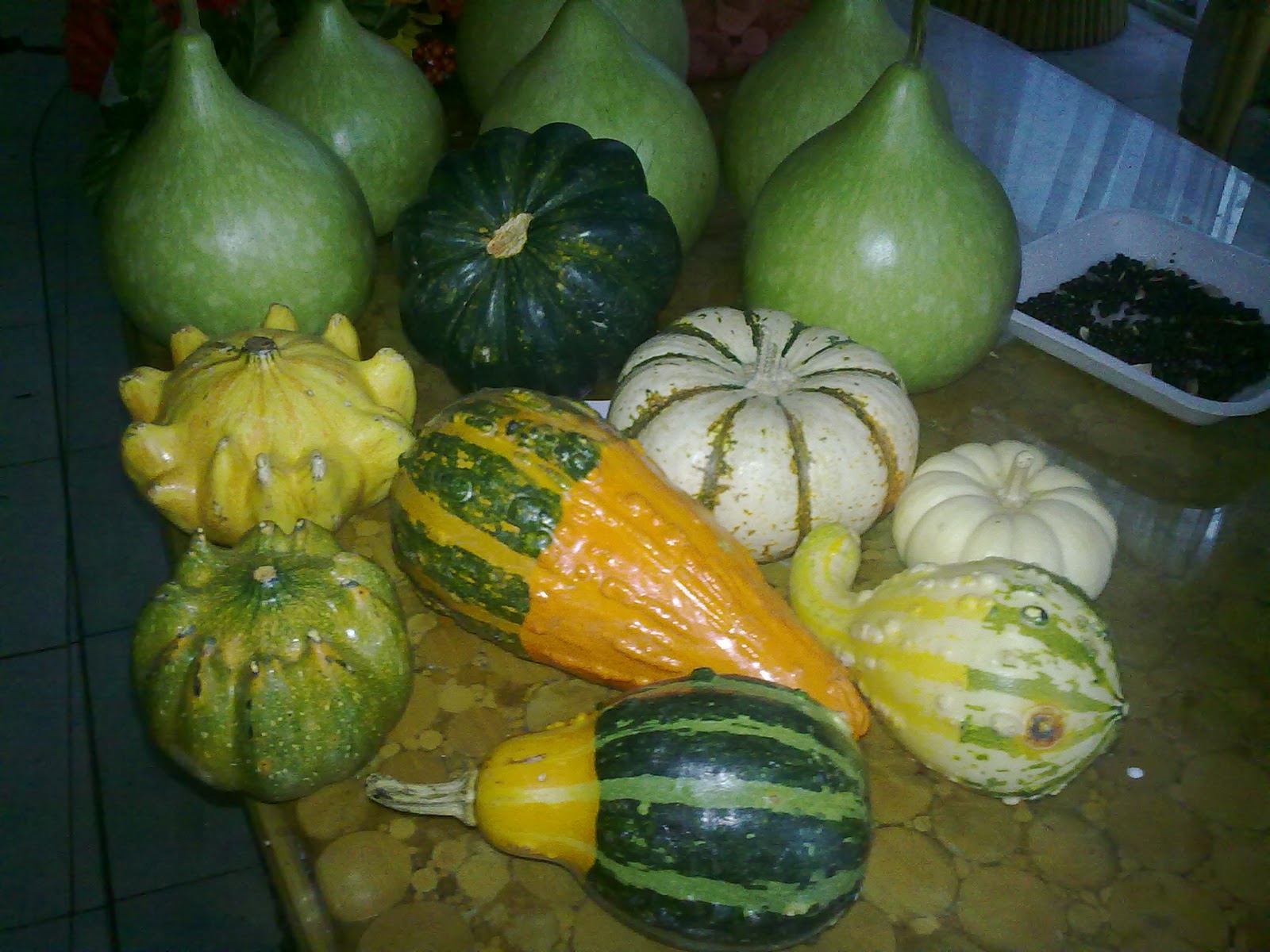081120104478.jpg
