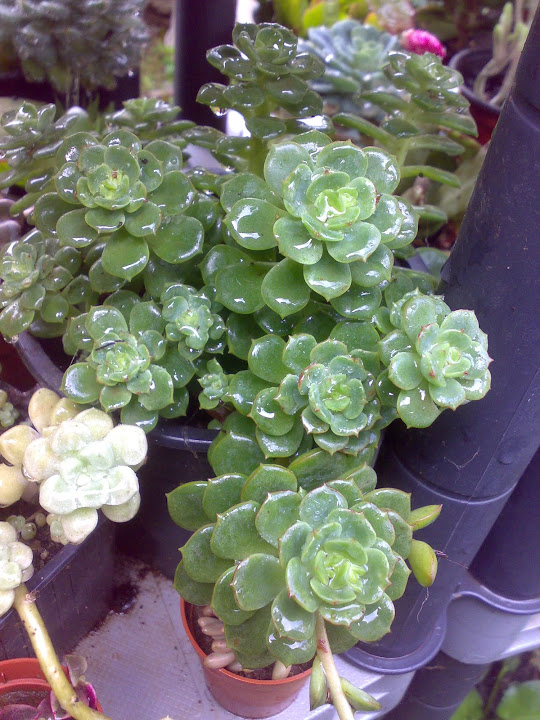 0811201214817.jpg