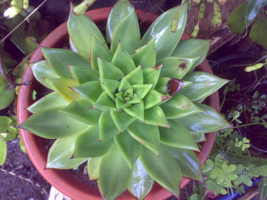 0811201214822.jpg