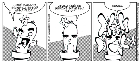09-01-03.jpg